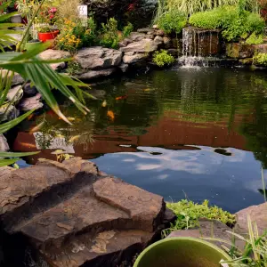 budowa ogrodów, Kielce